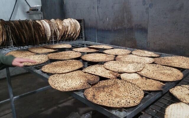 Associated Fress tweet media