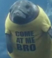 WantedIntelligence tweet media