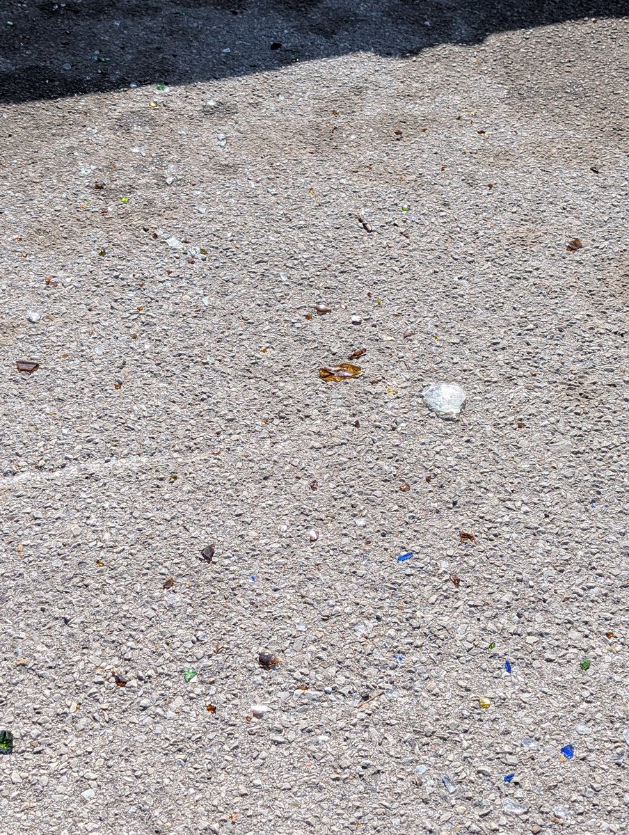 RusSTL1804 tweet media