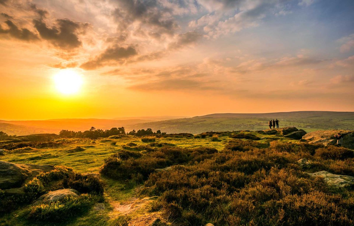 Marlin Windows Ltd tweet media