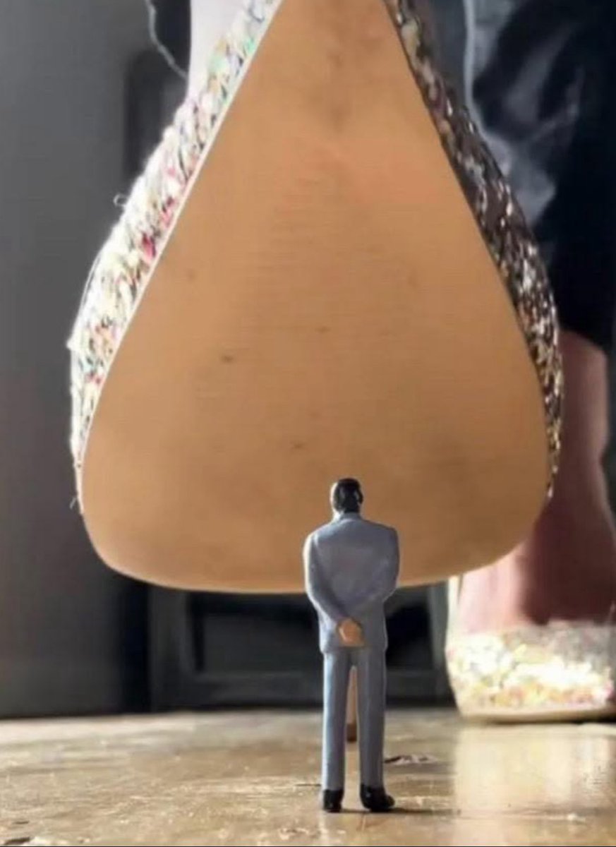 Miss Ginger tweet media