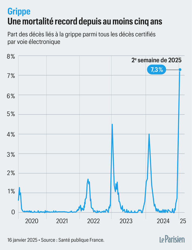 Fan de Marlène tweet media