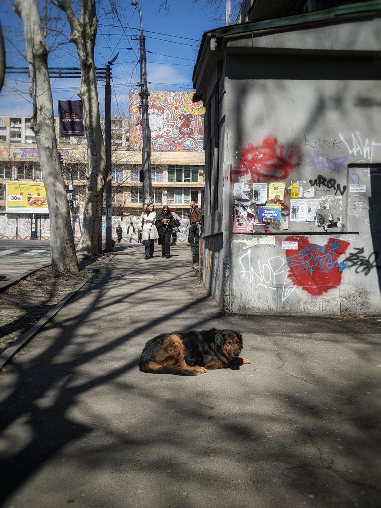 Georgia Pictures 🇺🇦 tweet media