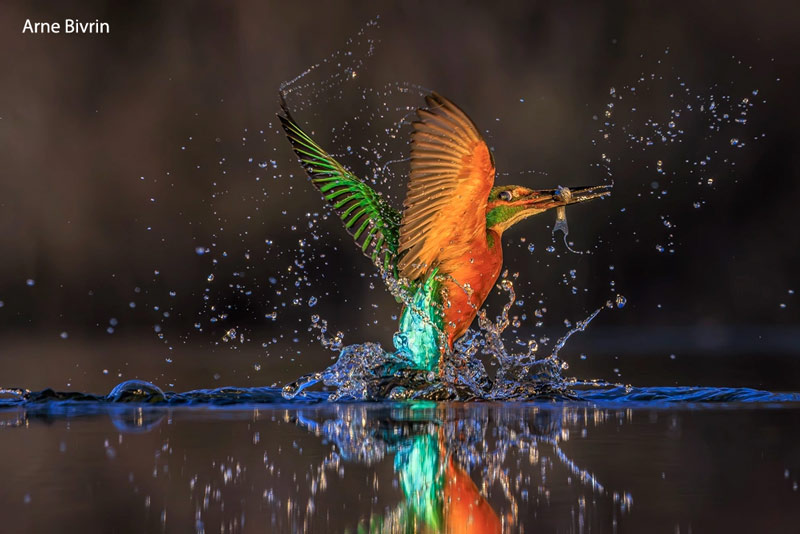 The Society of Photographers 📷 tweet media