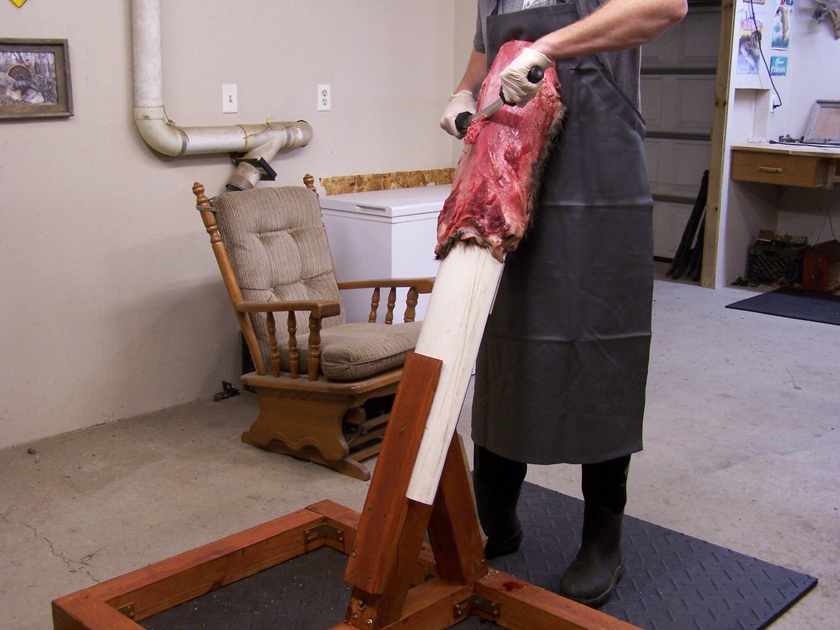 The Trapper tweet media