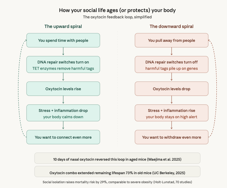 Anish Moonka tweet media