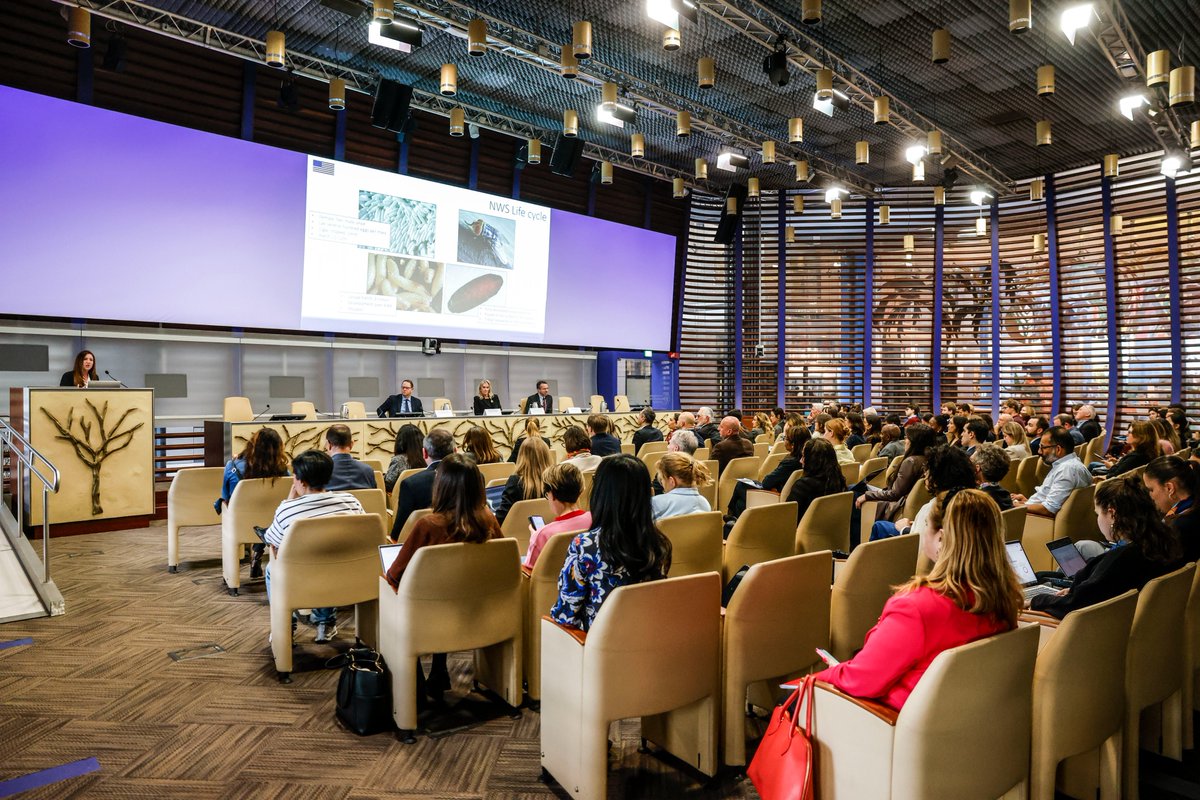 USUNRome tweet media