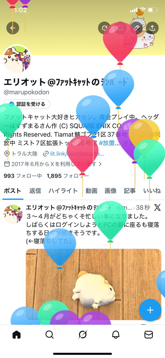 エリオット@ﾌｧｯﾄｷｬｯﾄのﾃﾝﾊﾟｰﾄﾞ tweet media