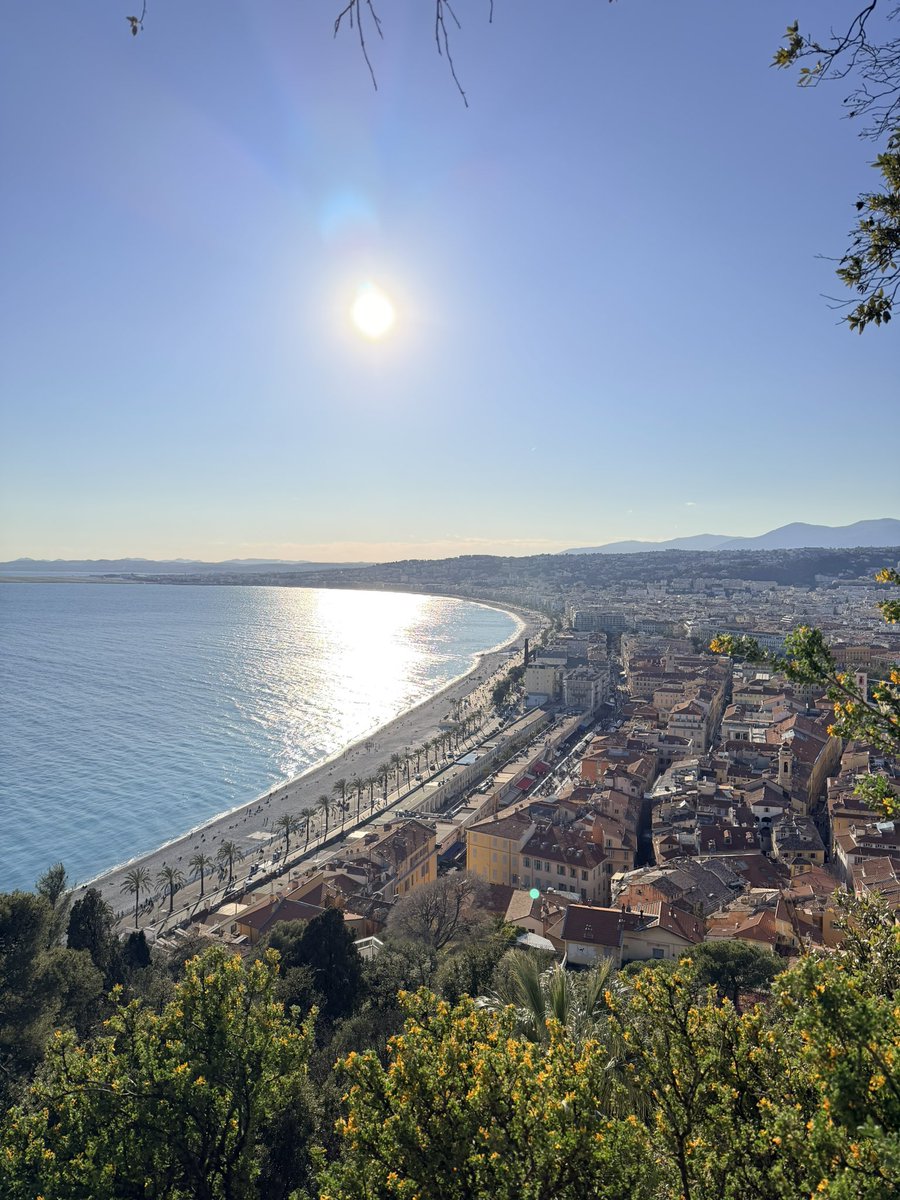 Elow’ 🦅🐝 Elye on t’aime Elye on t’adore 🫶 tweet media