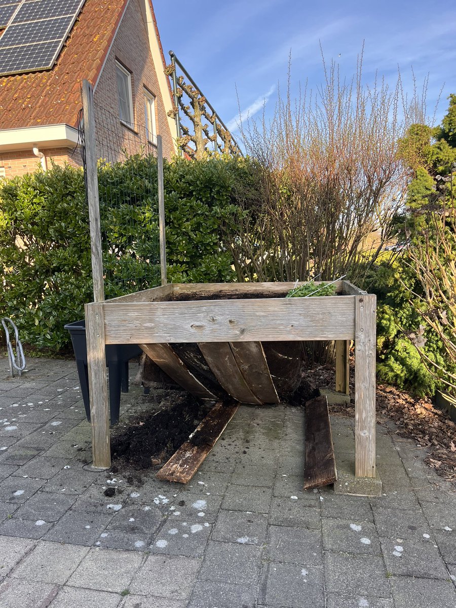 Jacoline Steegstra tweet media