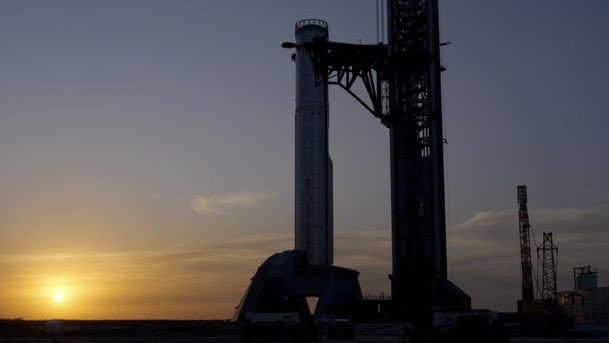 Olivia P. Walker tweet media