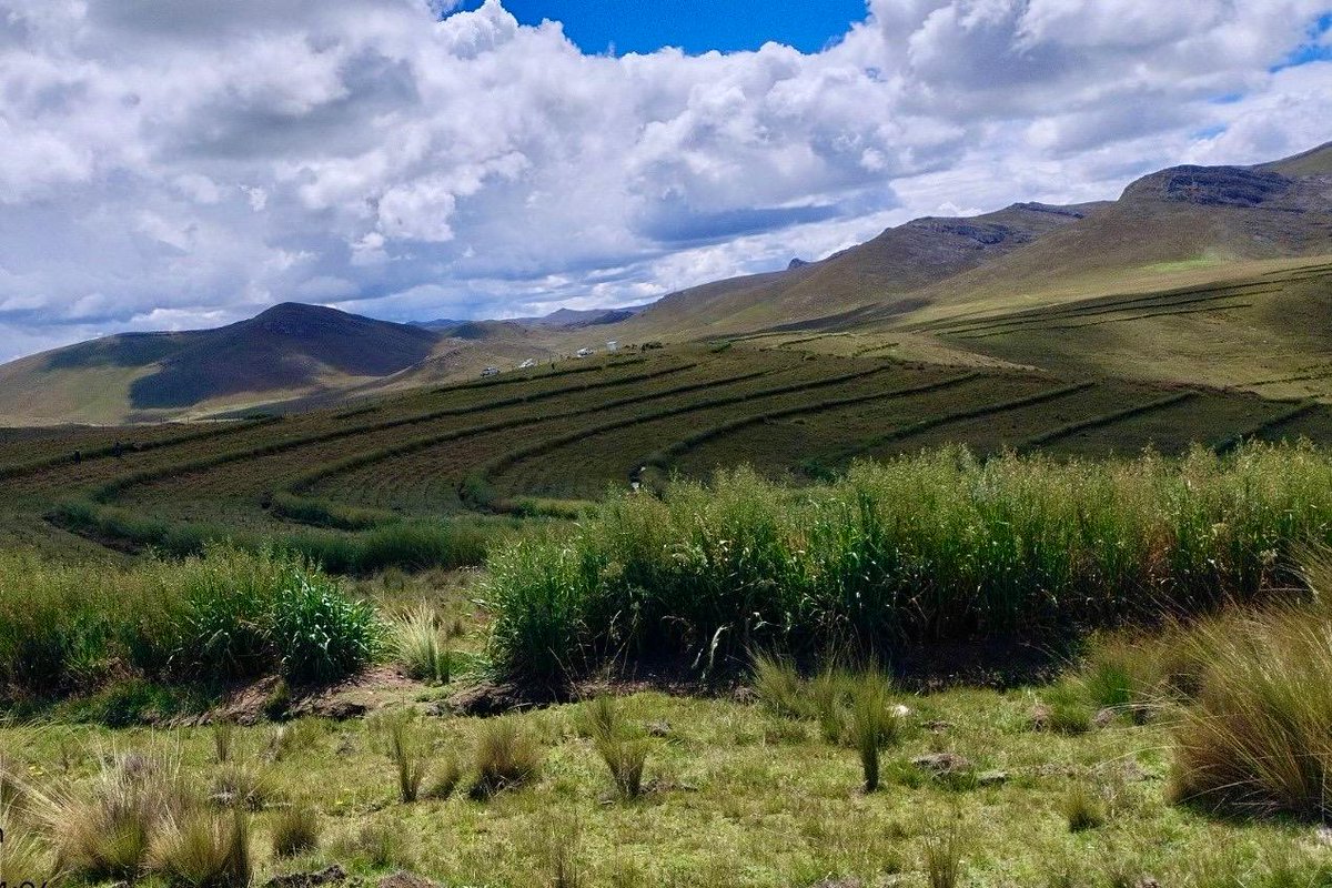 AGRO RURAL tweet media