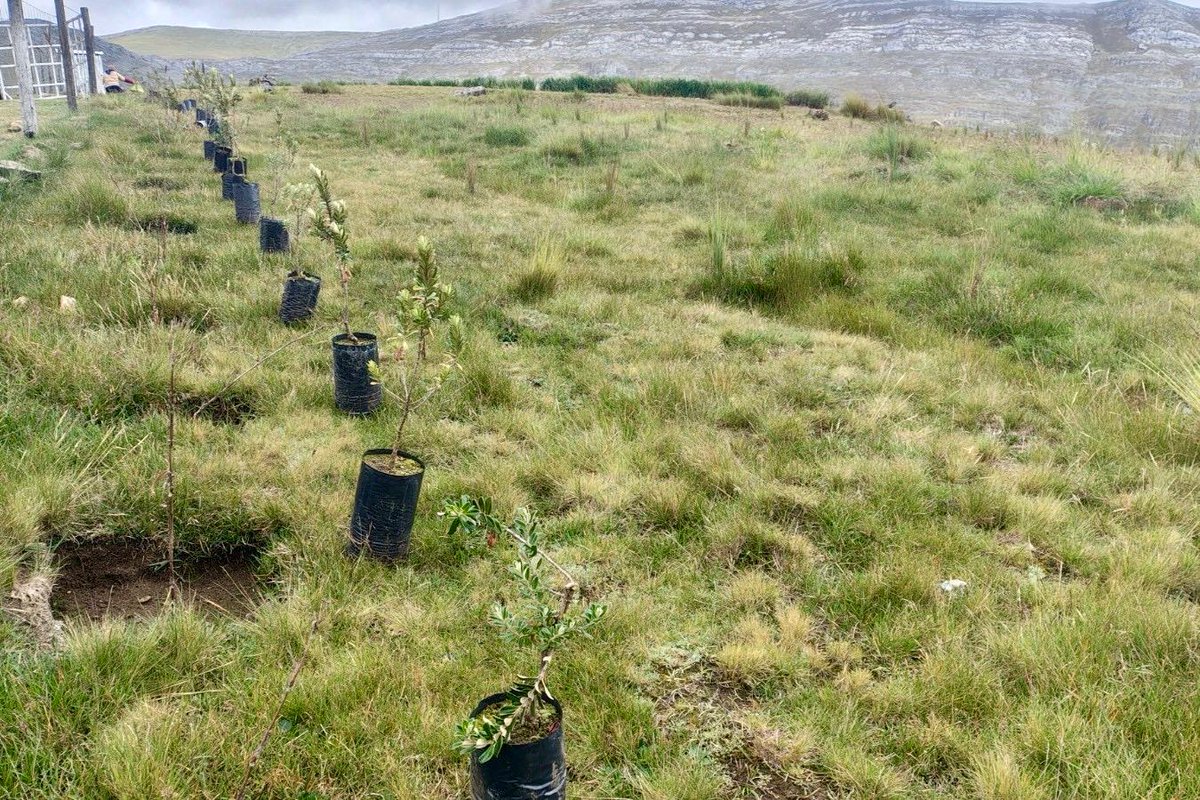 AGRO RURAL tweet media