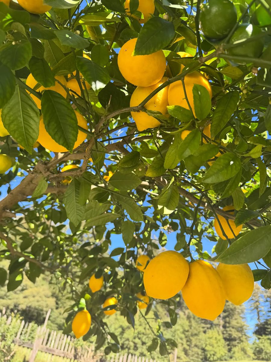 SAM SMITH tweet media