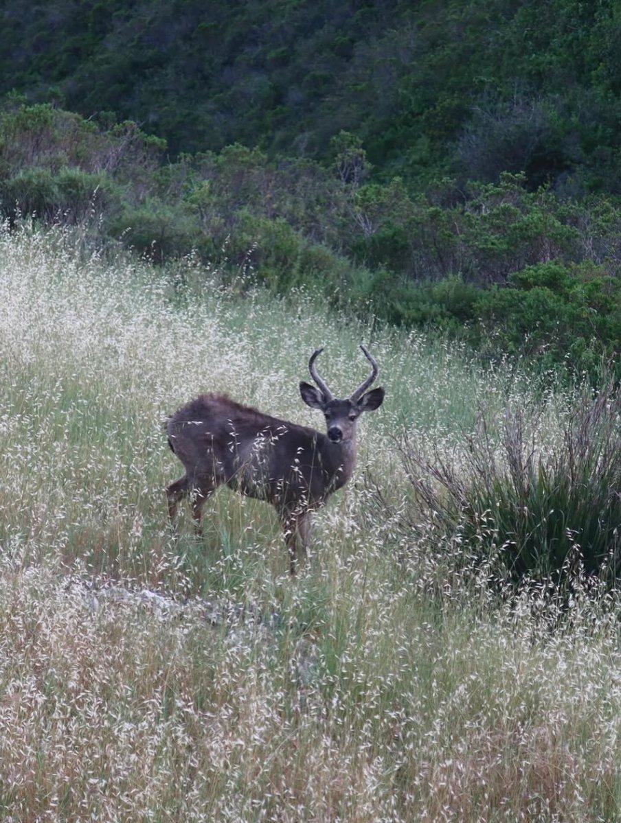 SAM SMITH tweet media