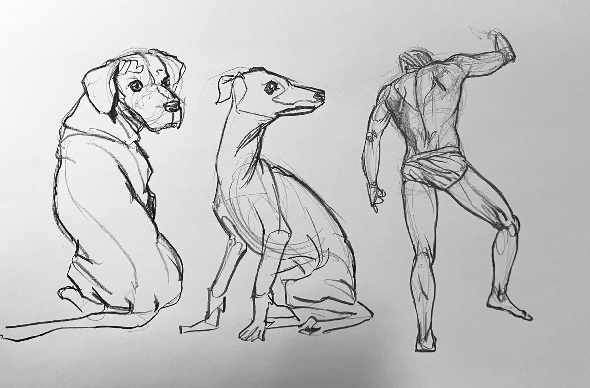 은이다섯개 tweet media