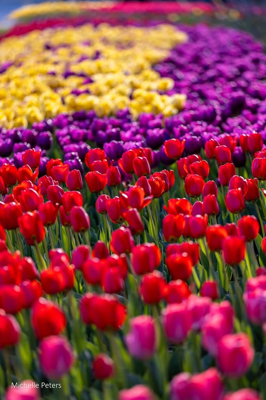 Cincinnati Zoo tweet media