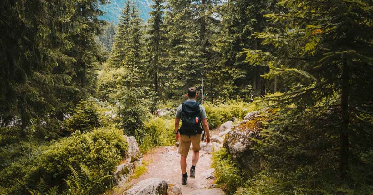 Daniel G. Amen, M.D. tweet media