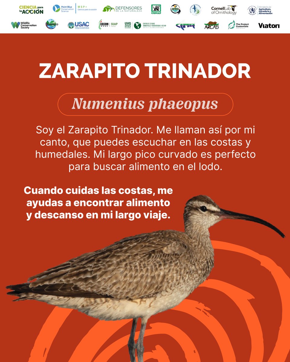 Defensores de la Naturaleza tweet media