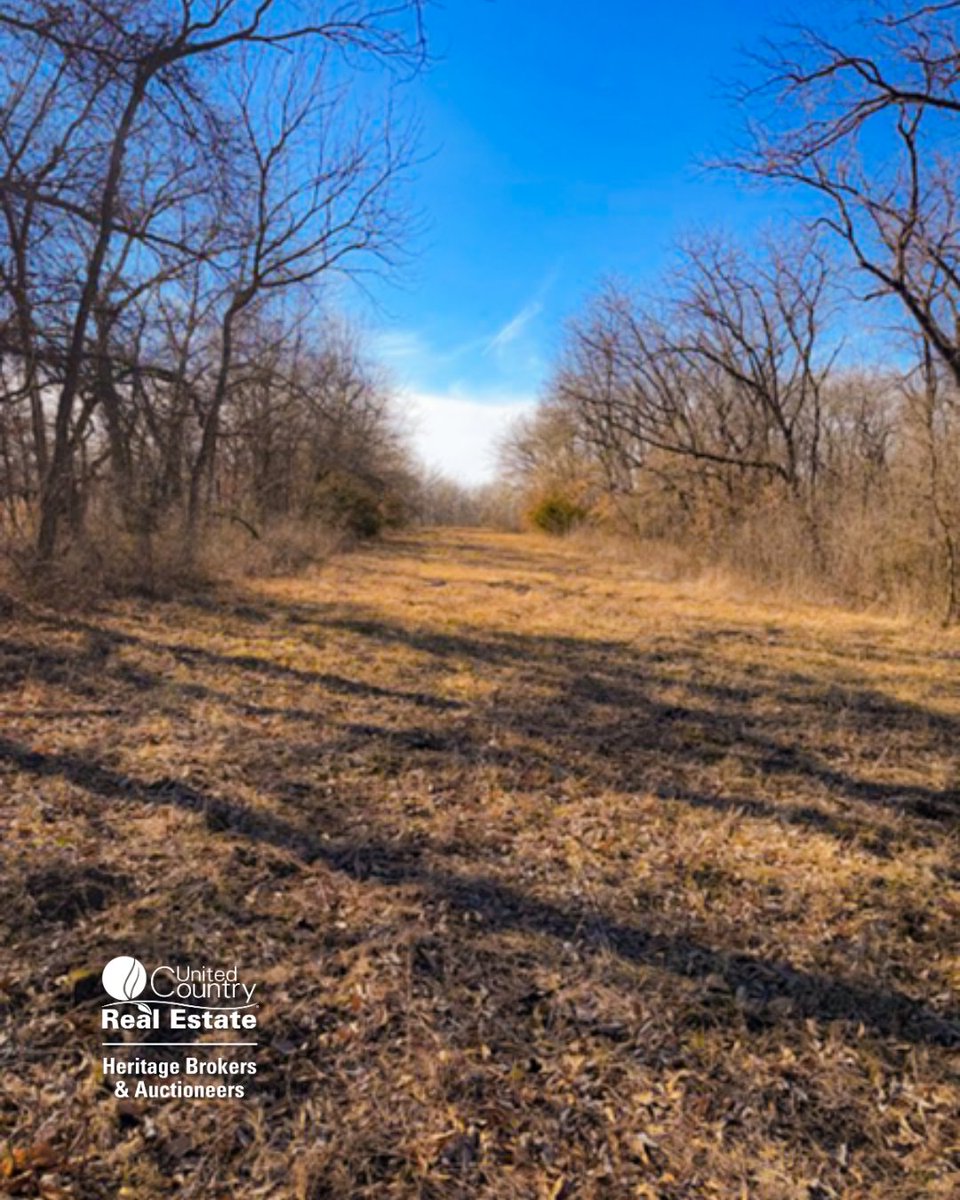 HeritageBrokers's tweet photo. Looking for the perfect mix of hunting land, income potential, and a future building site? This 19± acre property near Pattonsburg offers it all.

Listing agent: Danny Helmich
O: 877-318-0438 | C: 660-441-0907
#UnitedCountryRealEstate #MissouriRealEstate #LandForSale #HuntingLand https://t.co/28MeQ6gbpR