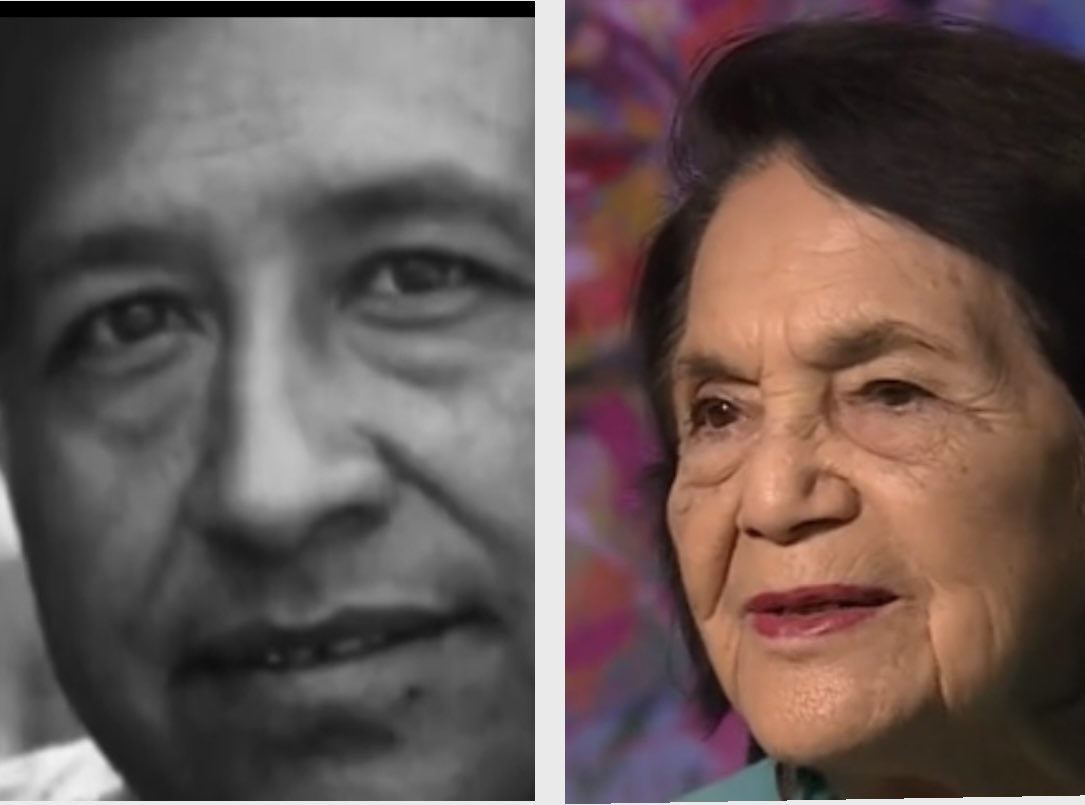 stevelarge tweet media