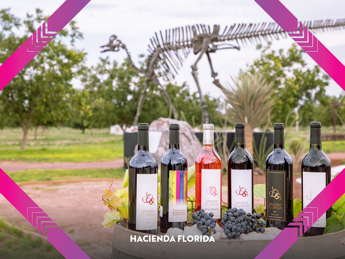 GCepedaMagico's tweet photo. Hacienda Florida es uno de los magníficos viñedos que se encuentran en el sureste de #Coahuila. 🍇

En este increíble lugar localizado en el municipio de #GeneralCepeda puedes realizar catas y recorridos por sus viñedos. 🍷

👉 https://t.co/XqObPEjbK1

 #GeneralCepedaEsParaTi https://t.co/YP3GEYT2aA