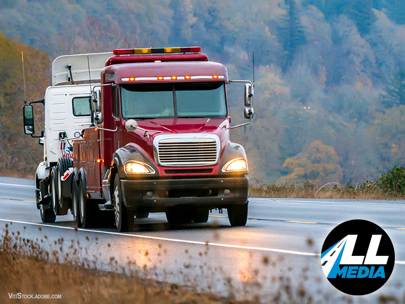 Land Line Magazine tweet media