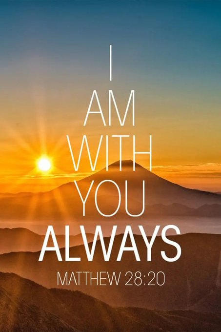 FLORIDA MAN LANDSCAPING (TM) tweet media