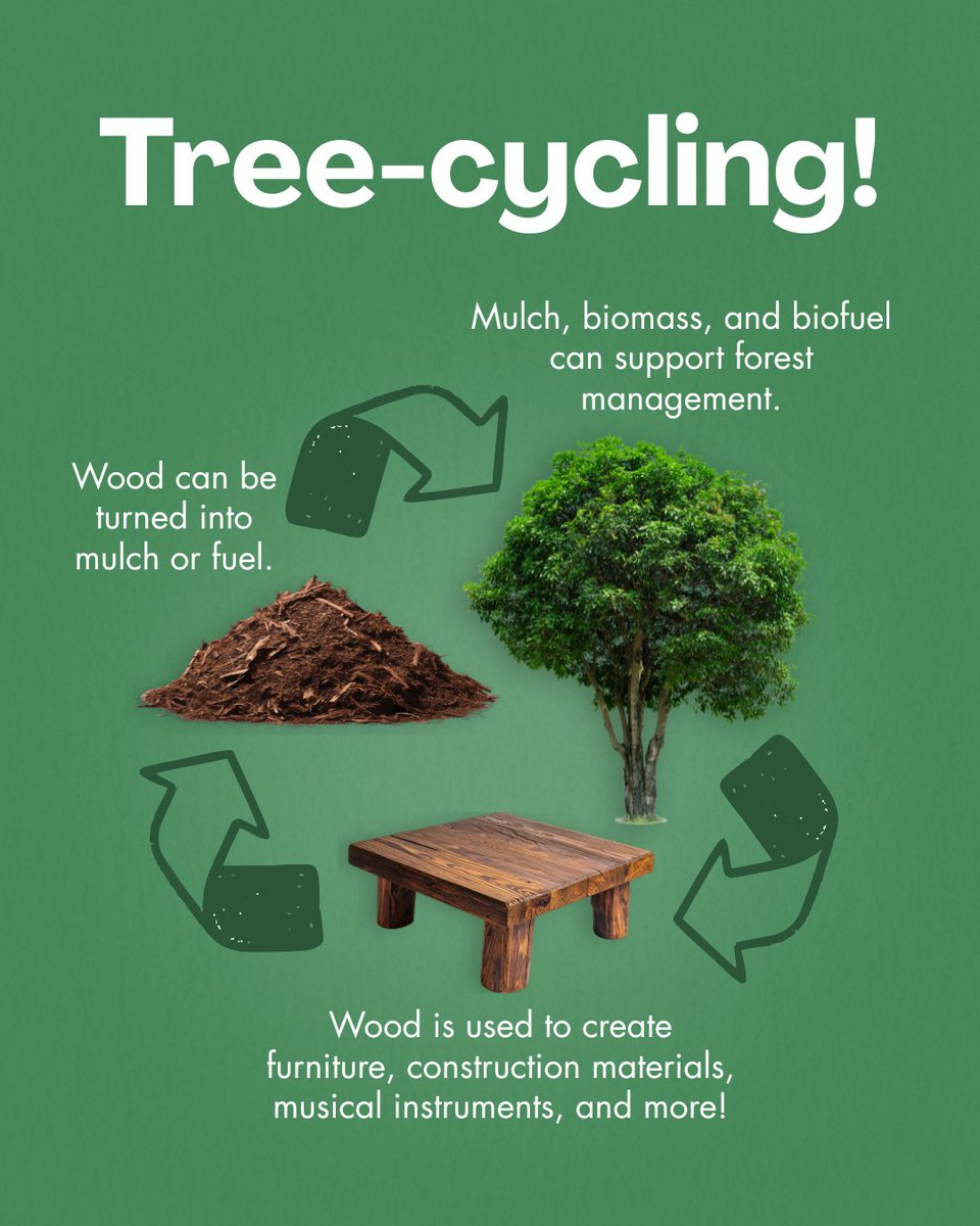 State Foresters tweet media