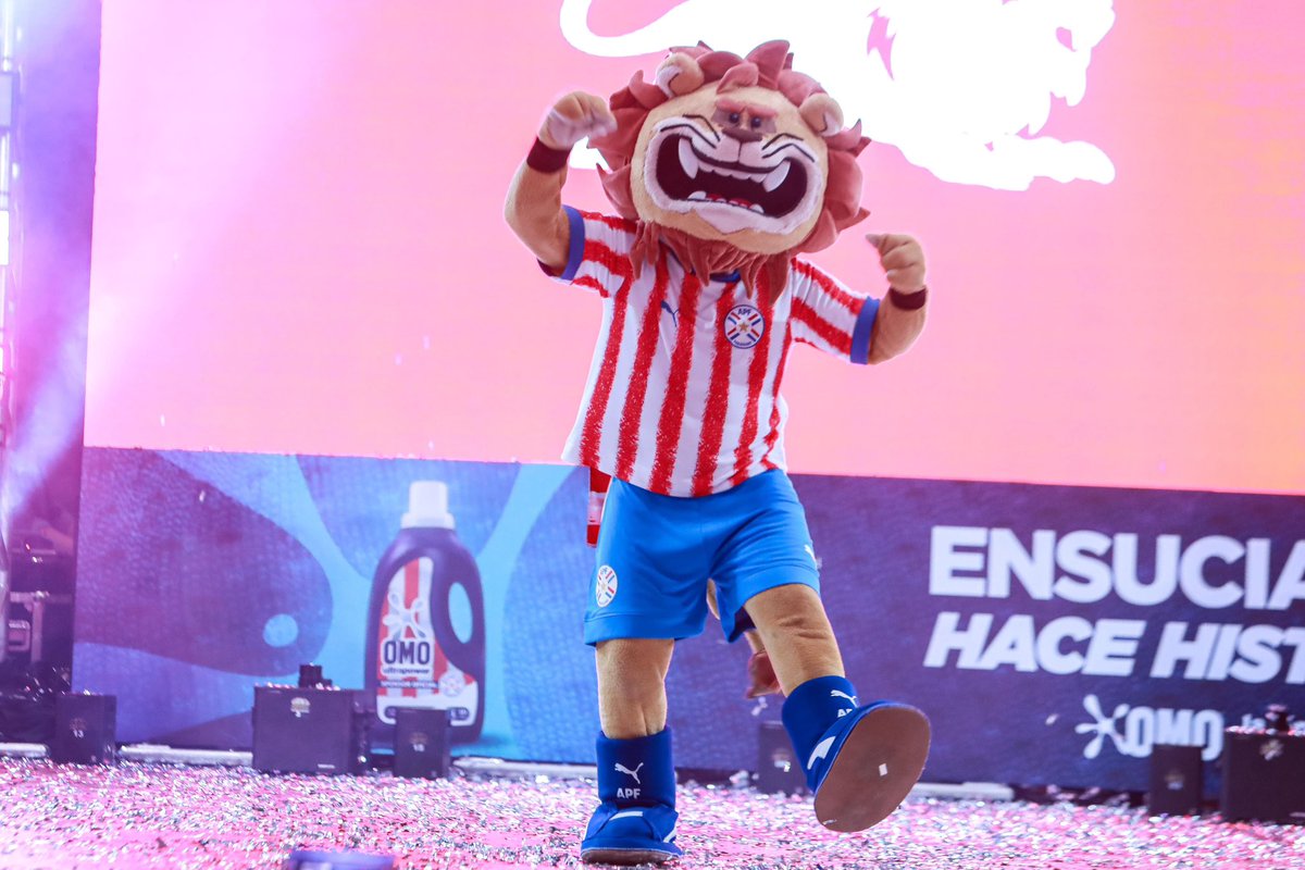 Selección Paraguaya tweet media