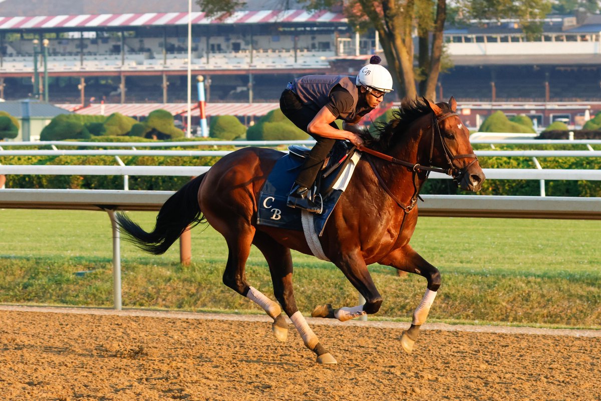 Eclipse Sportswire tweet media