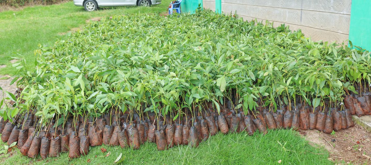 PS, Dr. Paul Ronoh tweet media