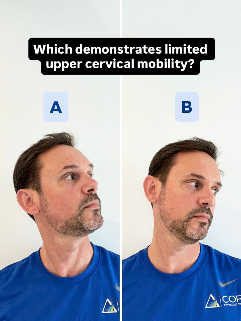 CORA Physical Therapy tweet media