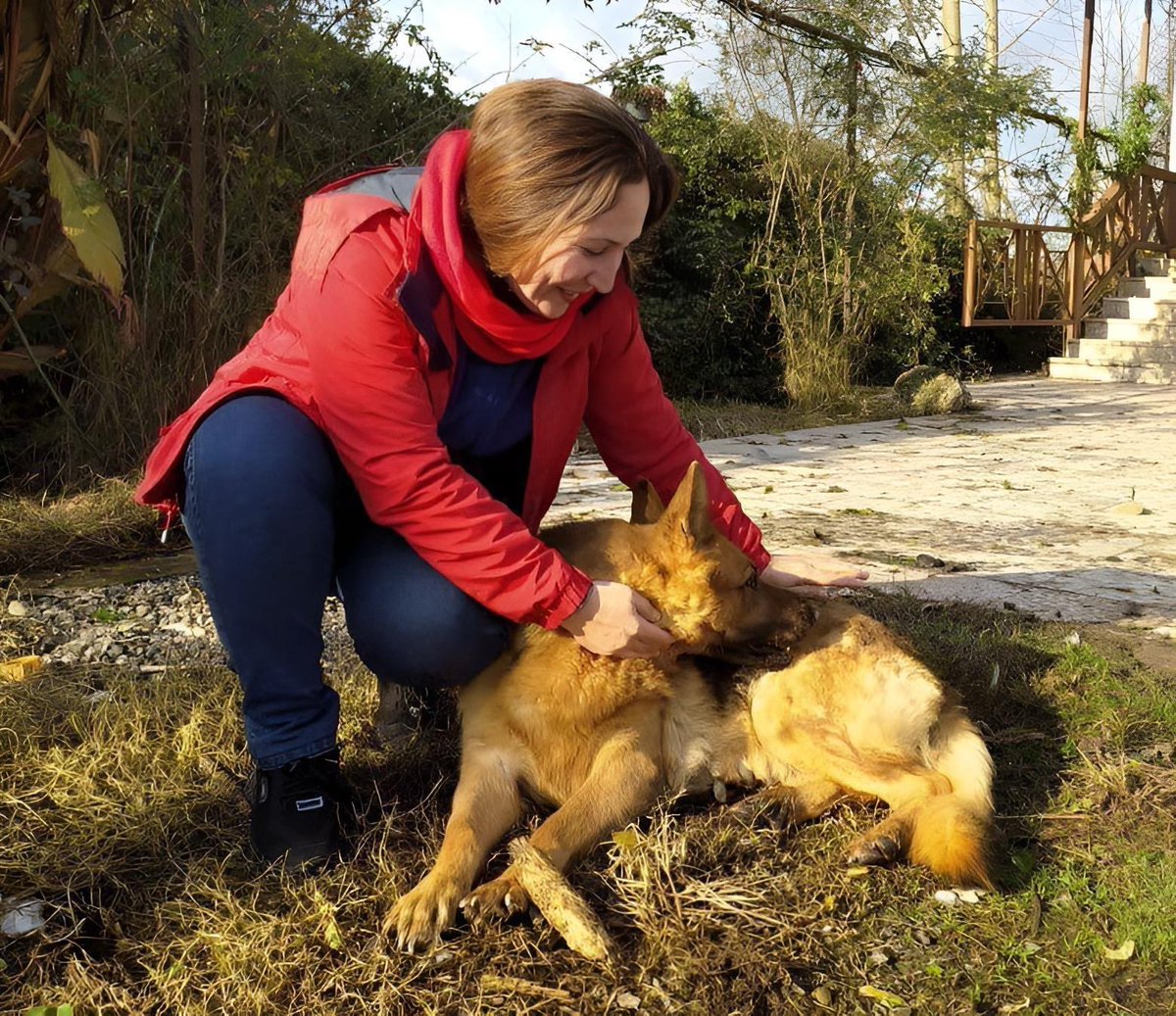 AreeZ🖤 tweet media