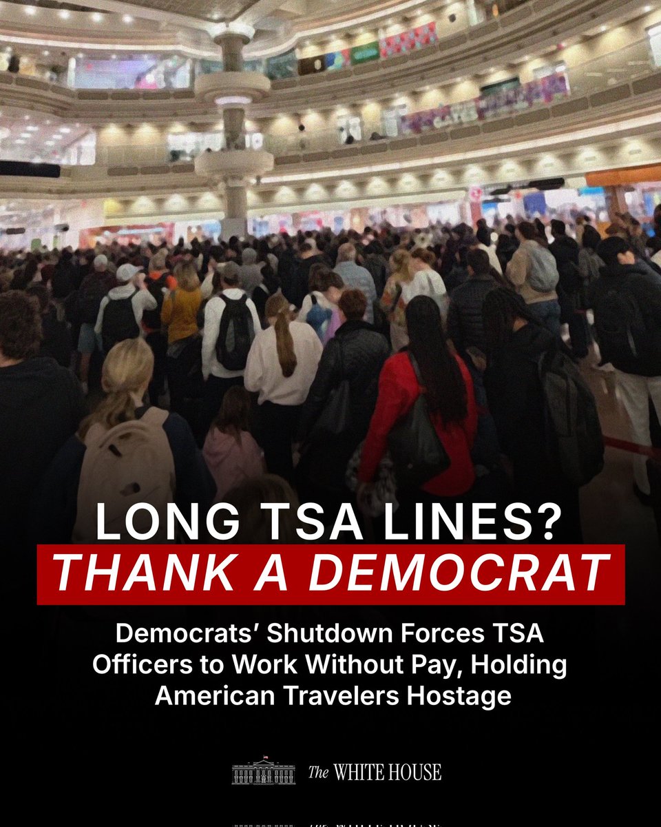 Mitch Everett tweet media