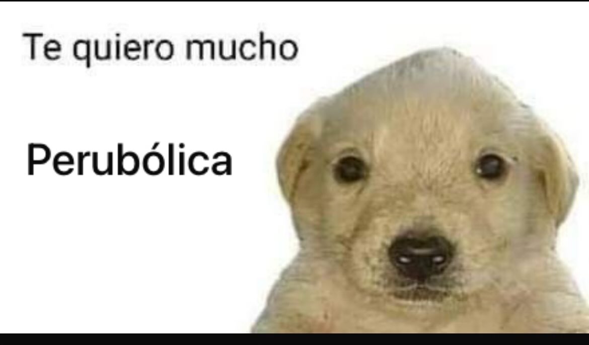 Lisa Junior tweet media