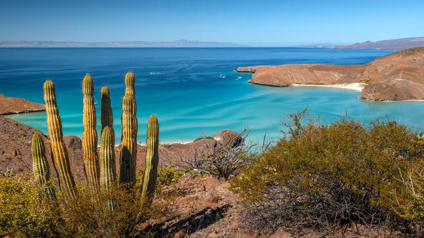 Global Environment Facility (GEF) tweet media