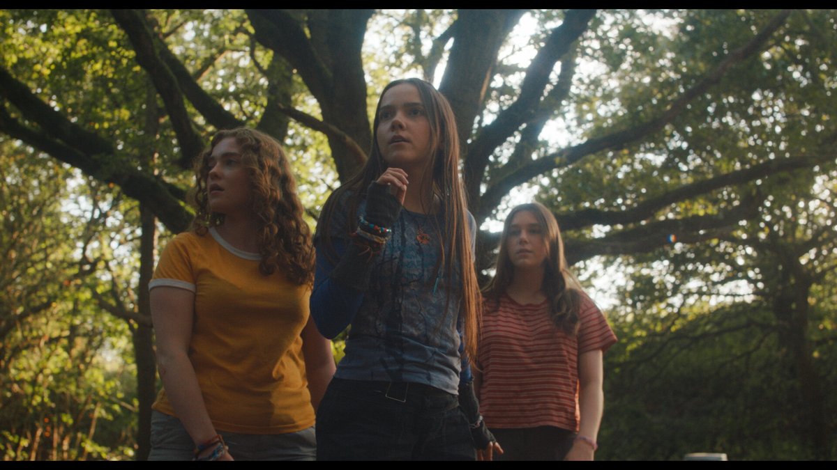 AestheticaFilmFest tweet media