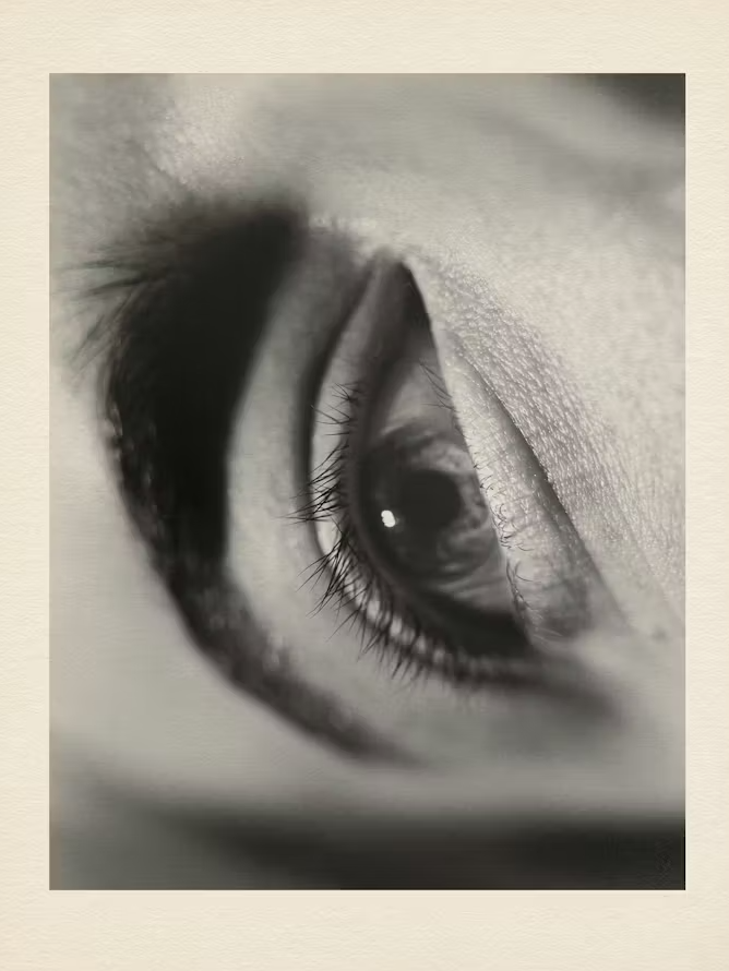 DepressedBergman tweet media