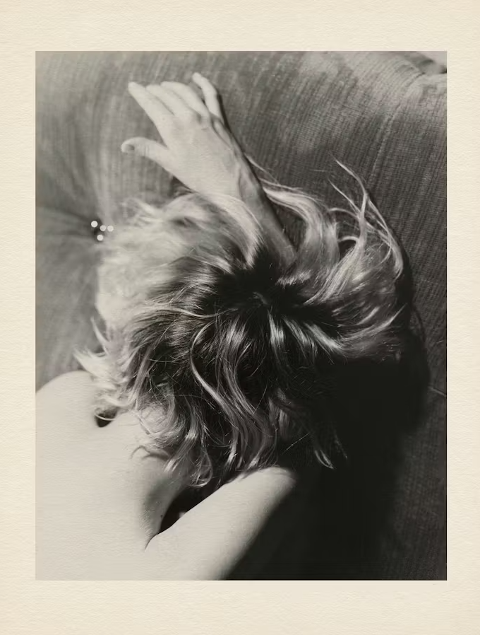 DepressedBergman tweet media