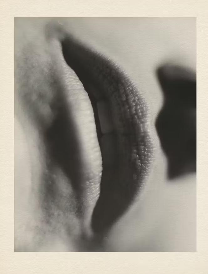 DepressedBergman tweet media