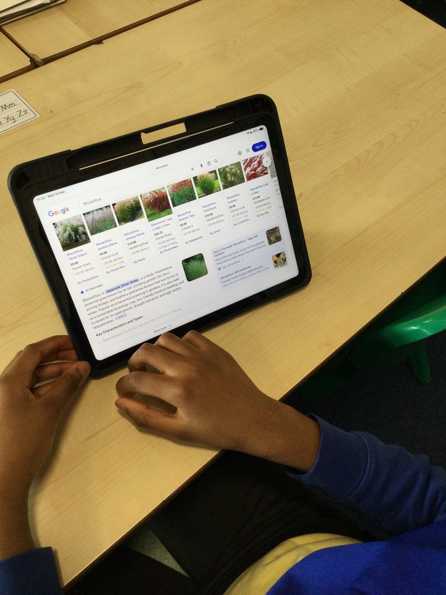 MrsOsborne tweet media