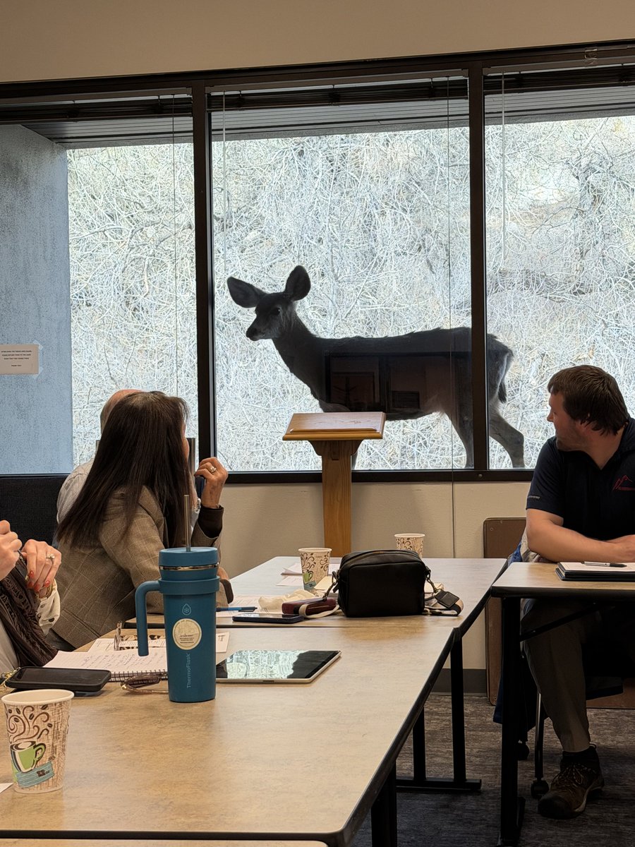 Debbie Early tweet media