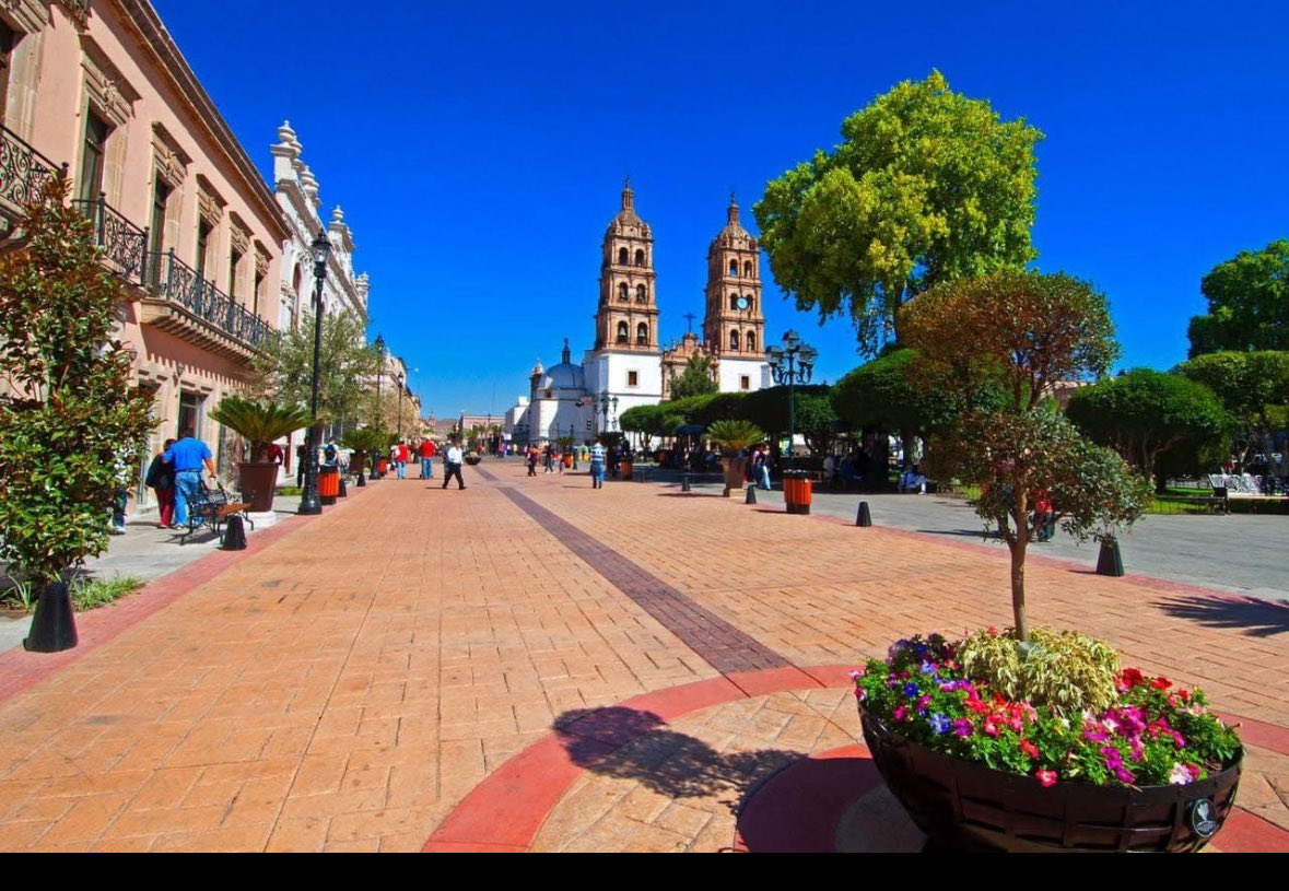 Jose Juan Martinez tweet media