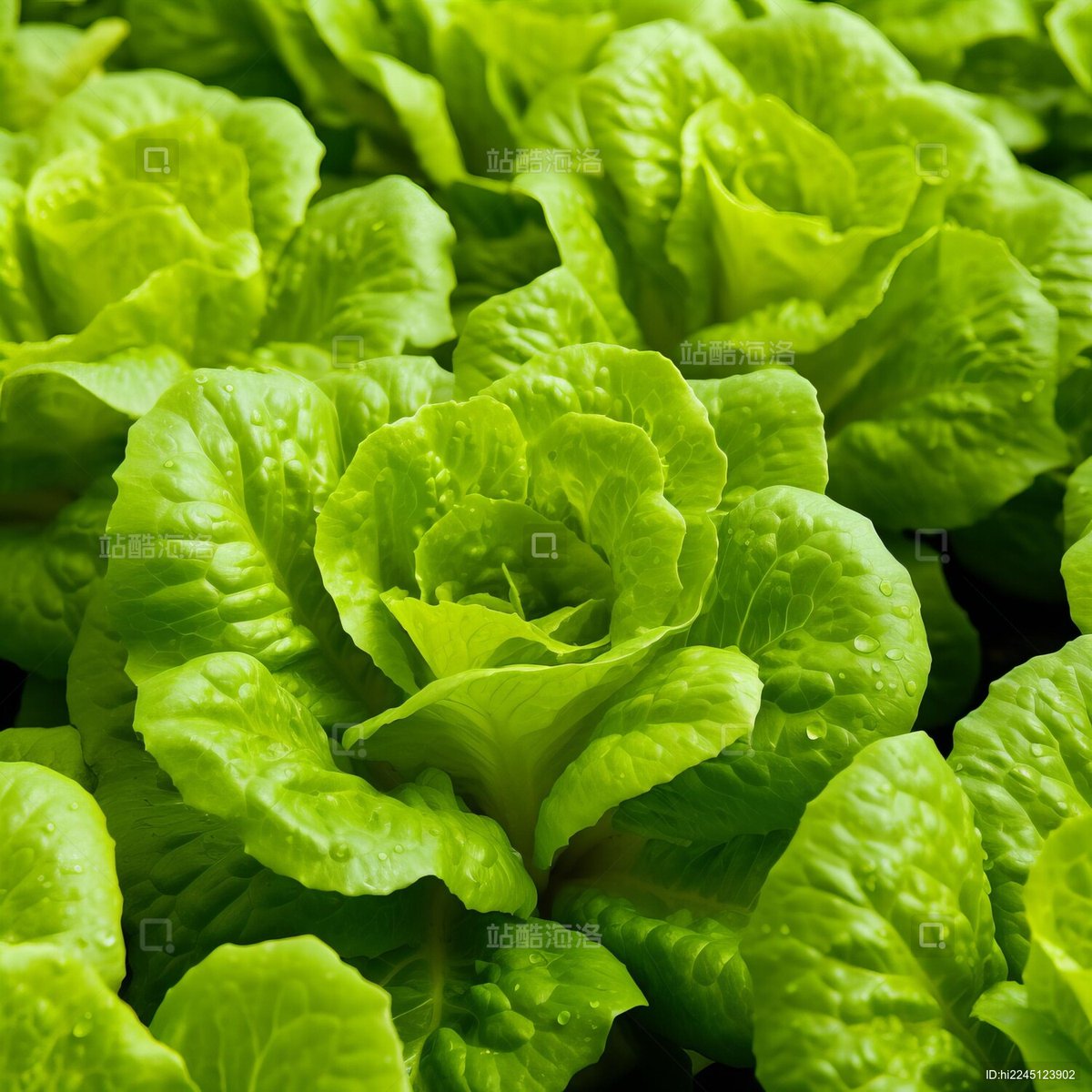 gajanankotgire tweet media