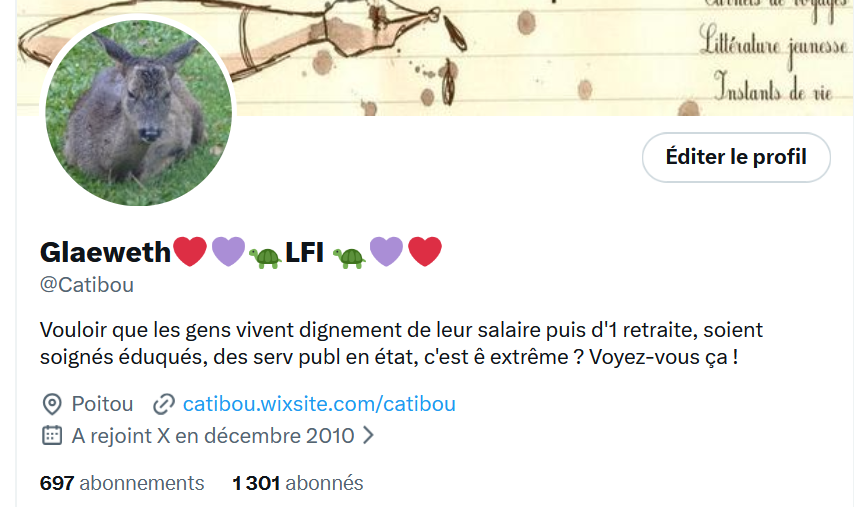 Glaeweth❤️💜🐢LFI 🐢💜❤️ tweet media