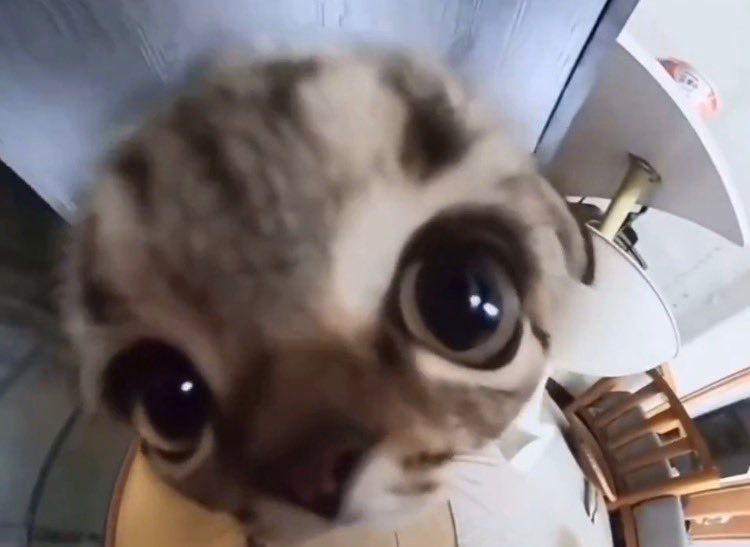 God Eater (commissions open) tweet media