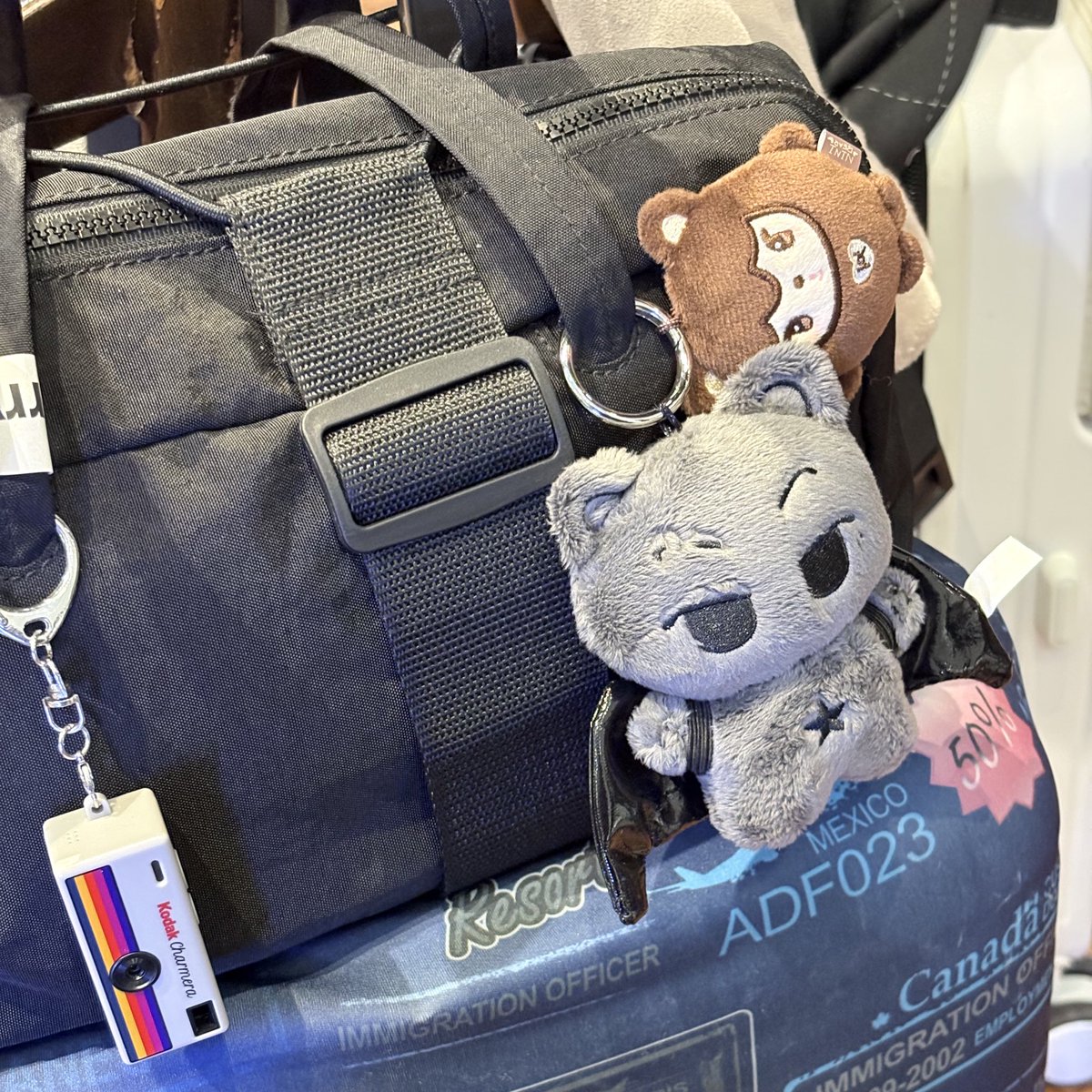 vacation with ninibear and little jjongcat <3