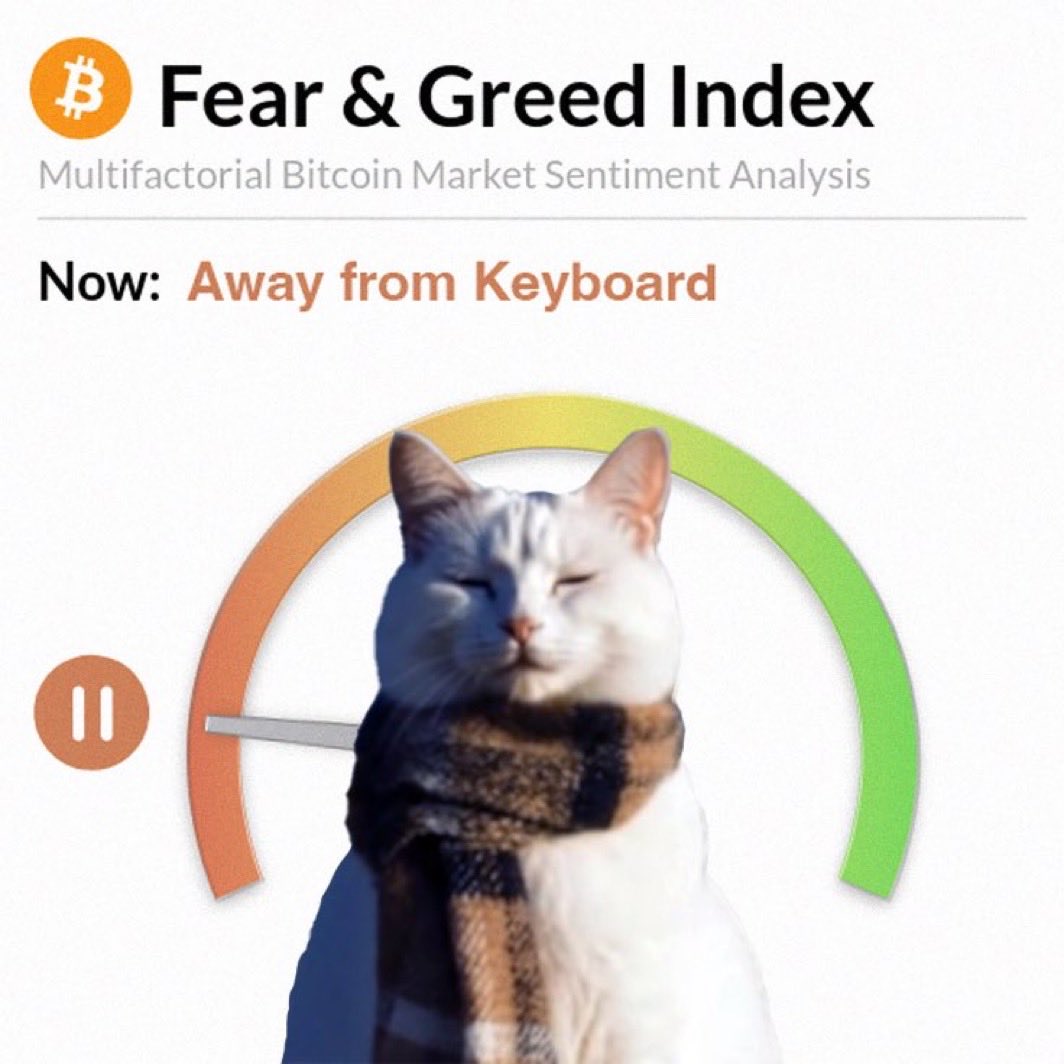 Con (yes) tweet media