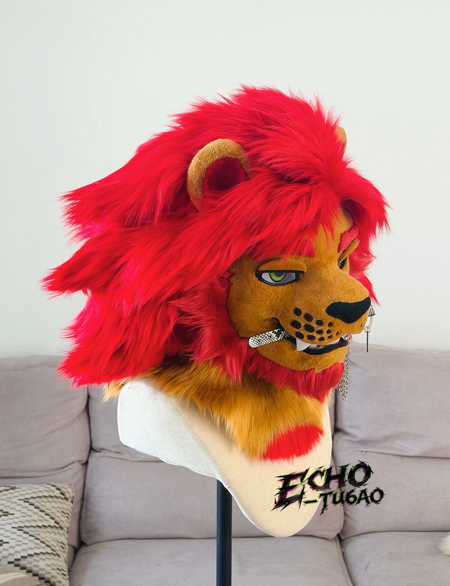 echo_Tu6ao tweet media